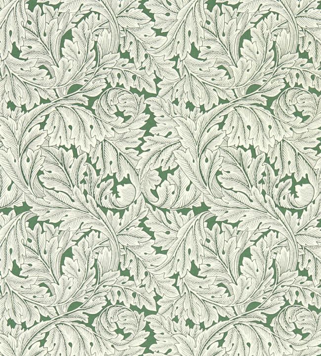 Acanthus Wallpaper - Sage - Clarke & Clarke