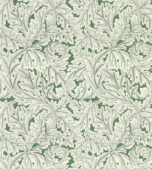 Acanthus Wallpaper - Sage - Clarke & Clarke