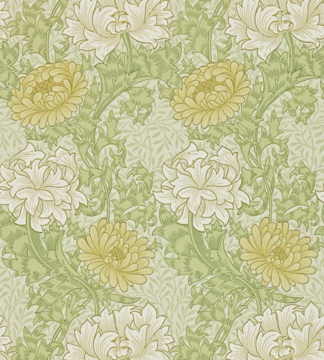 Chrysanthemum Wallpaper - Pale Olive - 212545 - Morris & Co