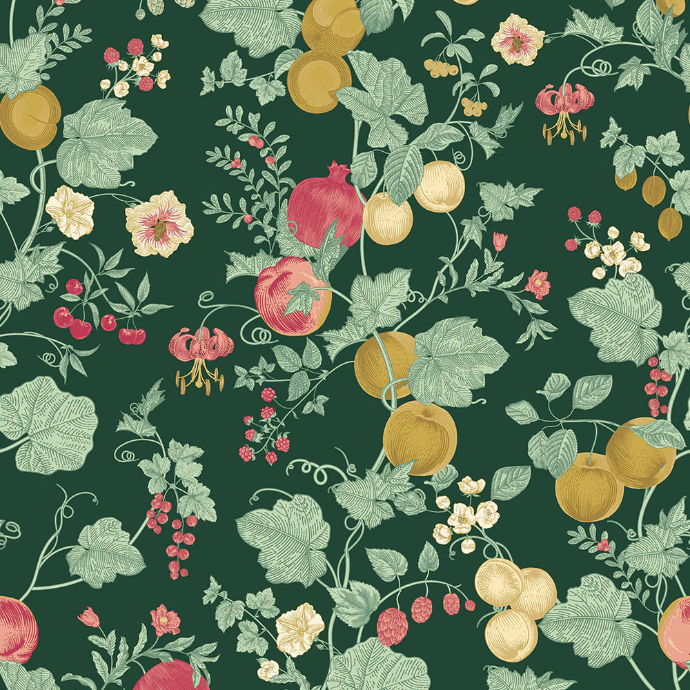 Forgotten Fruit Wallpaper - Guava and Ochre on Castleton Green - LAN100065