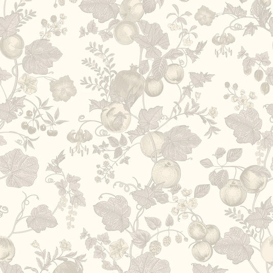 Forgotten Fruit Wallpaper - Vintage Cream and Vintage Grey - LAN100067