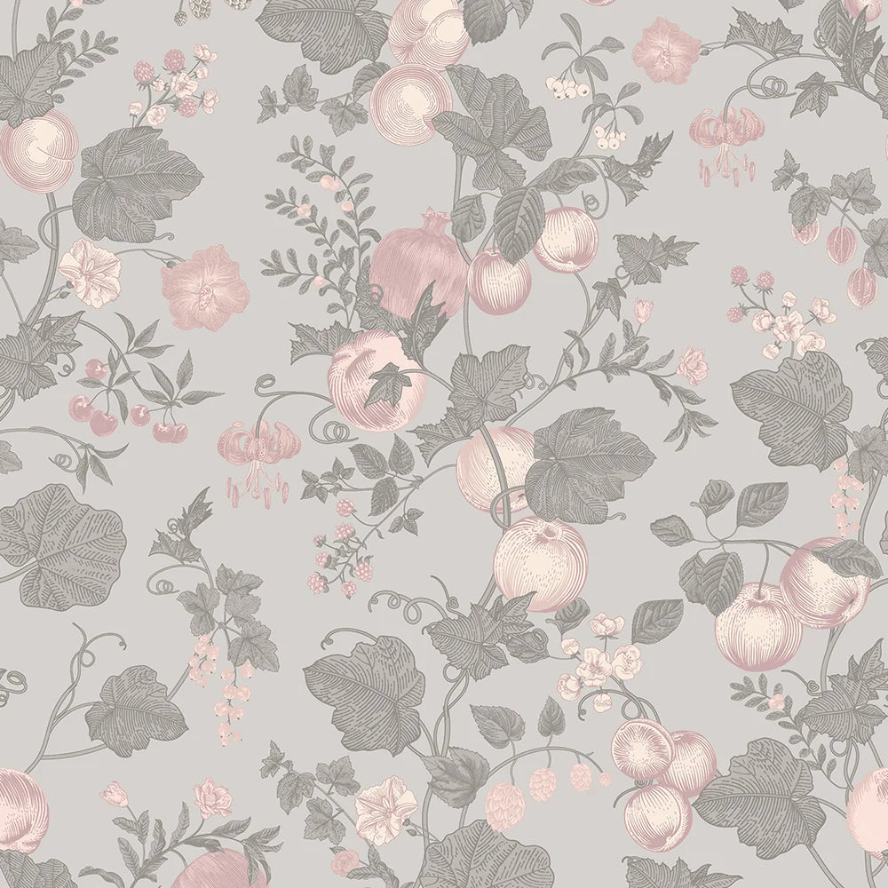 Forgotten Fruit Wallpaper - Violet Grey and Vintage Rose - LAN100068