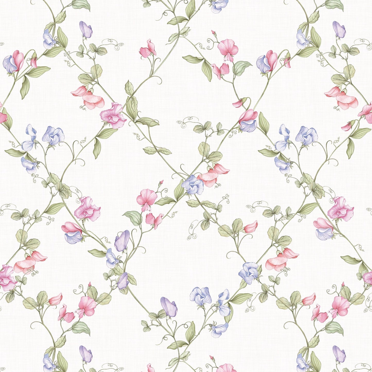 Sweet Pea Wallpaper - Pinks and Lilacs on Vintage Cream - LAN100415