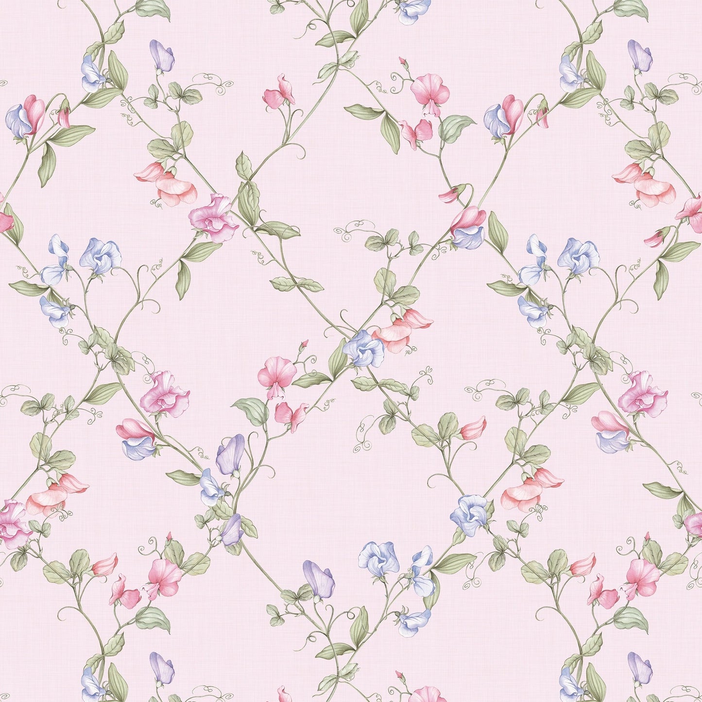 Sweet Pea Wallpaper - Pinks and Lilacs on Pastel Pink - LAN100417