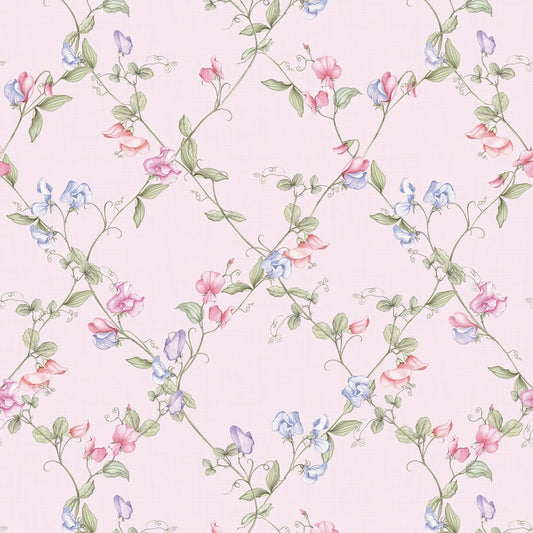 Sweet Pea Wallpaper - Pinks and Lilacs on Pastel Pink - LAN100417
