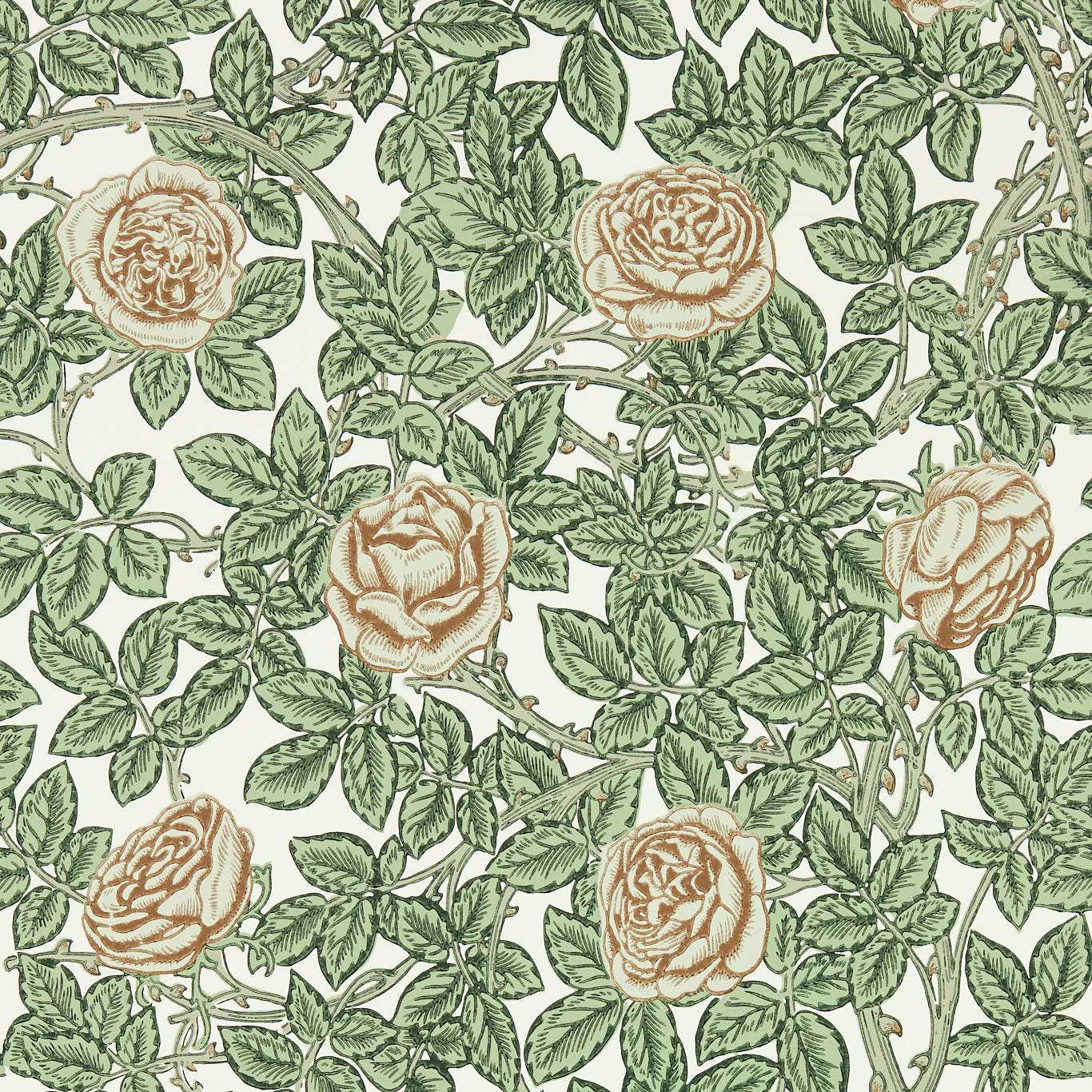 Rambling Rose Wallpaper - Leafy Arbour/Pearwood - 217208 - Morris & Co