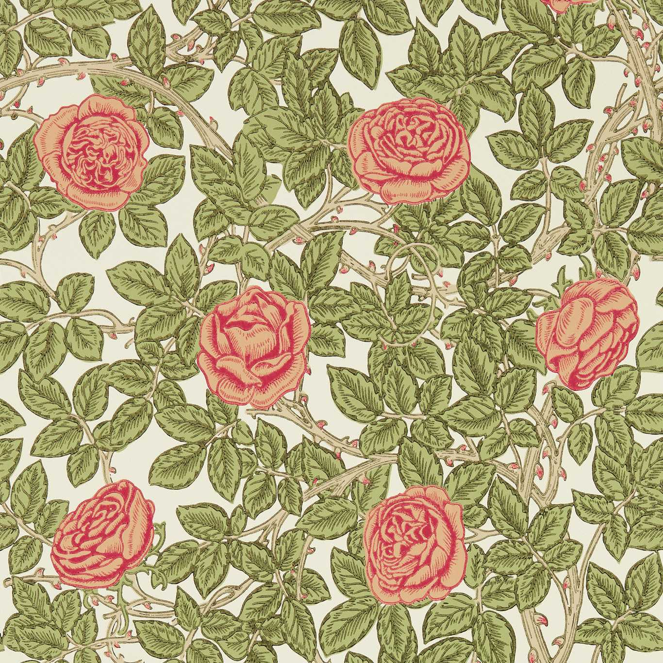 Rambling Rose Wallpaper - Twining Vine - 217207 - Morris & Co