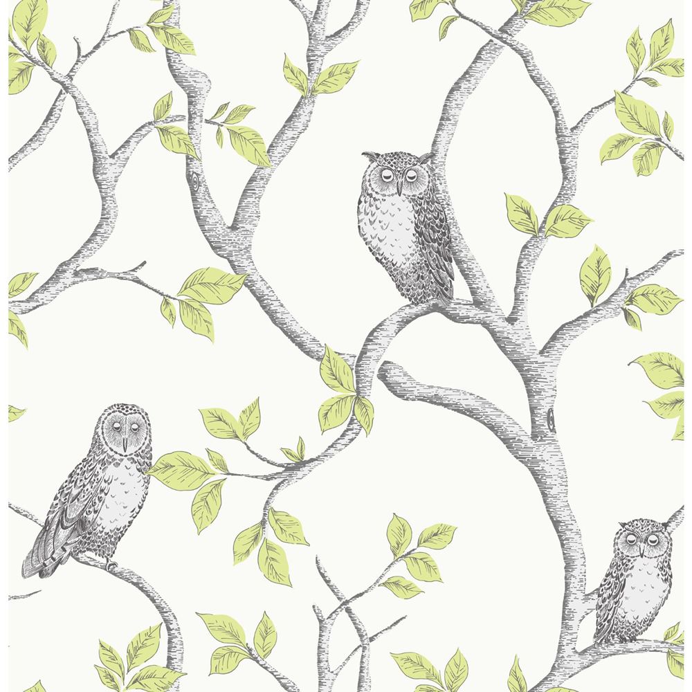 Woodland Owls Wallpaper - Green - Fine Decor